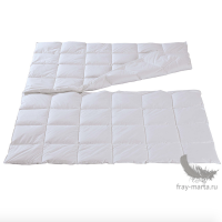 Одеяло из гусиного пуха Easy Wash Dorbena