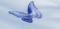Постельное белье Christian Fischbacher luxury Night Butterfly - вид 5 миниатюра