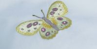 Постельное белье Christian Fischbacher luxury Night Butterfly - вид 6 миниатюра