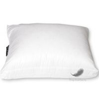 Подушка пуховая CLIMA с бортиком DORBENA, Лихтенштейн