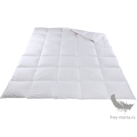 Одеяло из гусиного пуха Perfetto Dorbena-Elanna, Лихтенштейн